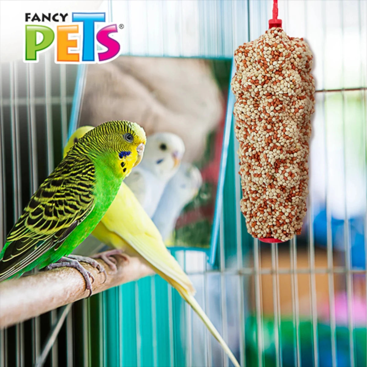 Periquitos en jaula disfrutando de una barrita de mijo colgada como snack natural.