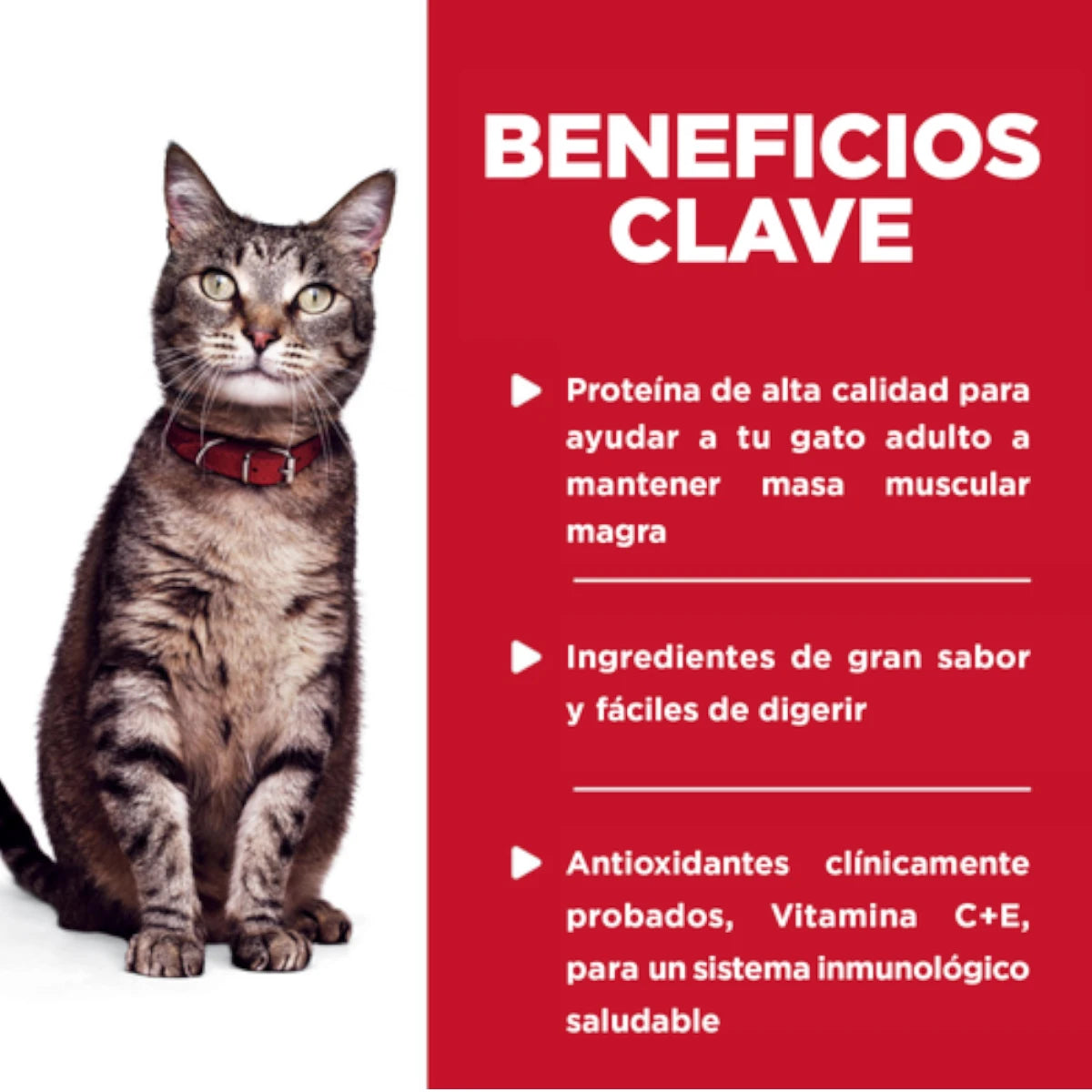 Infografía de la marca Hill's que muestra los beneficios clave para gato adulto: masa muscular magra, ingredientes fáciles de digerir y antioxidantes para un sistema inmune sano.