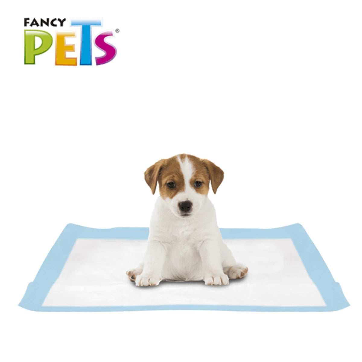 Cachorro de raza Jack Russell Terrier sentado tranquilamente al centro de un tapete entrenador SoftPad con bordes azules, demostrando el uso correcto del pañal, en Kamalitas.