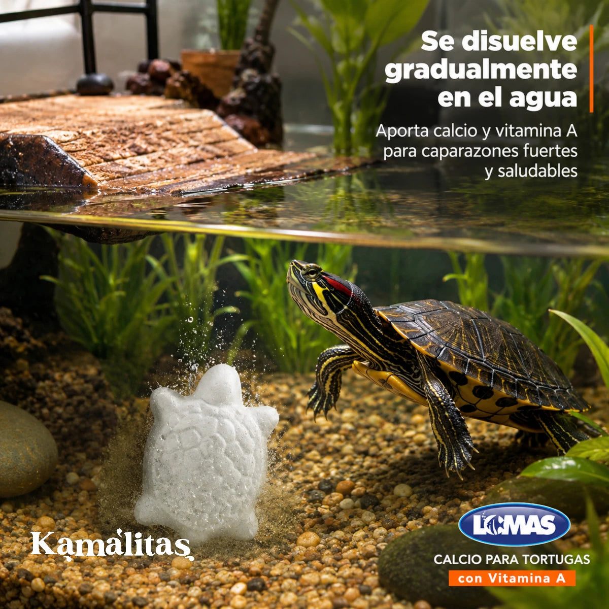 Bloque de Calcio para Tortugas con Vitamina A Acuario Lomas disolviéndose gradualmente en el agua, ideal para aportar calcio al hábitat sin ensuciar ni afectar el filtro.