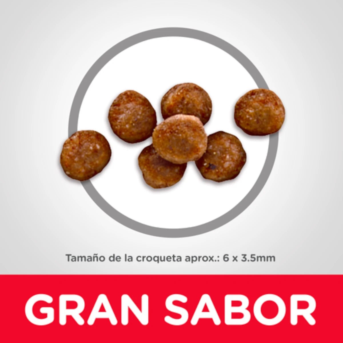 Acercamiento a las croquetas pequeñas y fáciles de digerir de Hill's para gatitos en crecimiento.