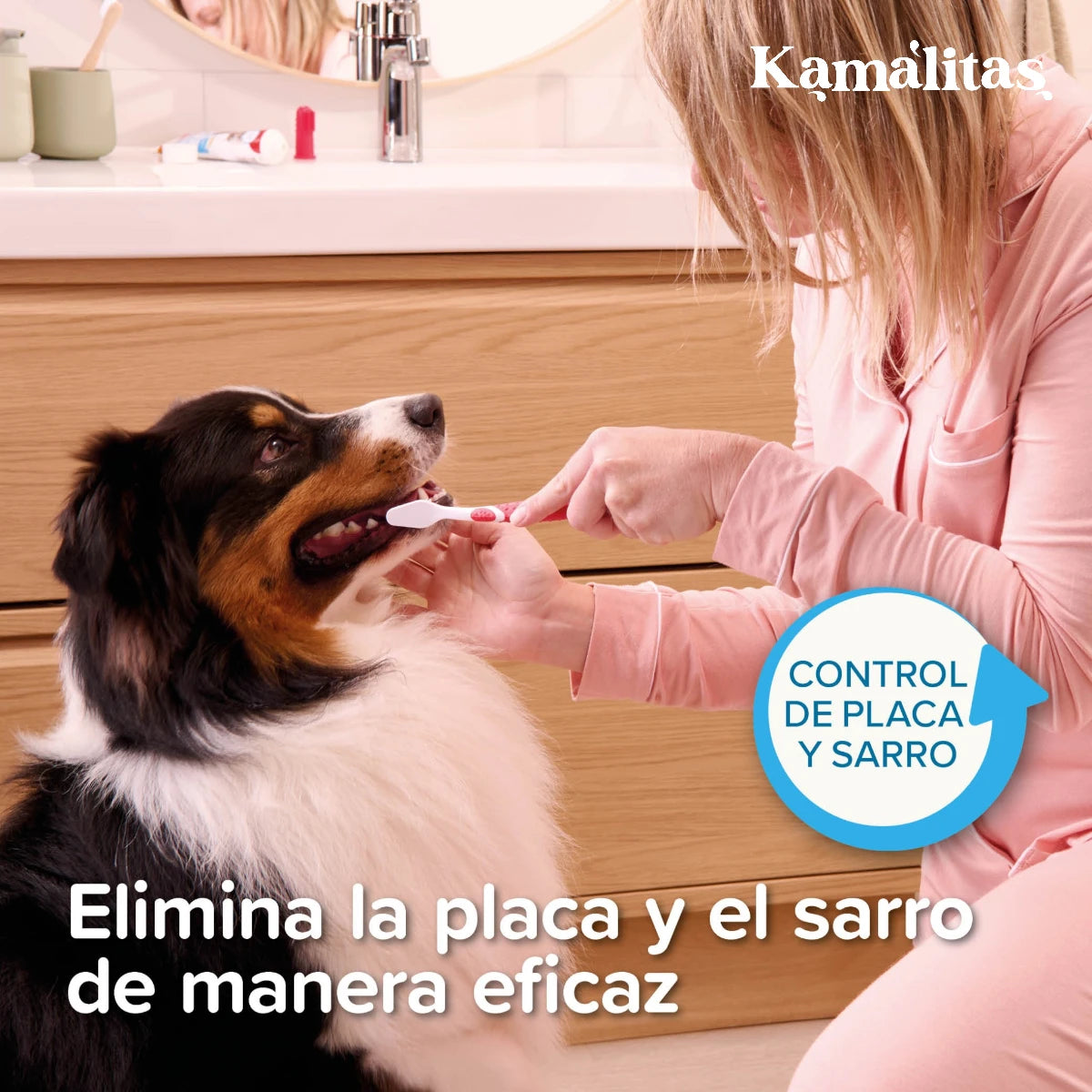 Sesión de higiene dental en casa con un perro para eliminar placa y sarro de manera eficaz usando el tratamiento dental Beaphar.