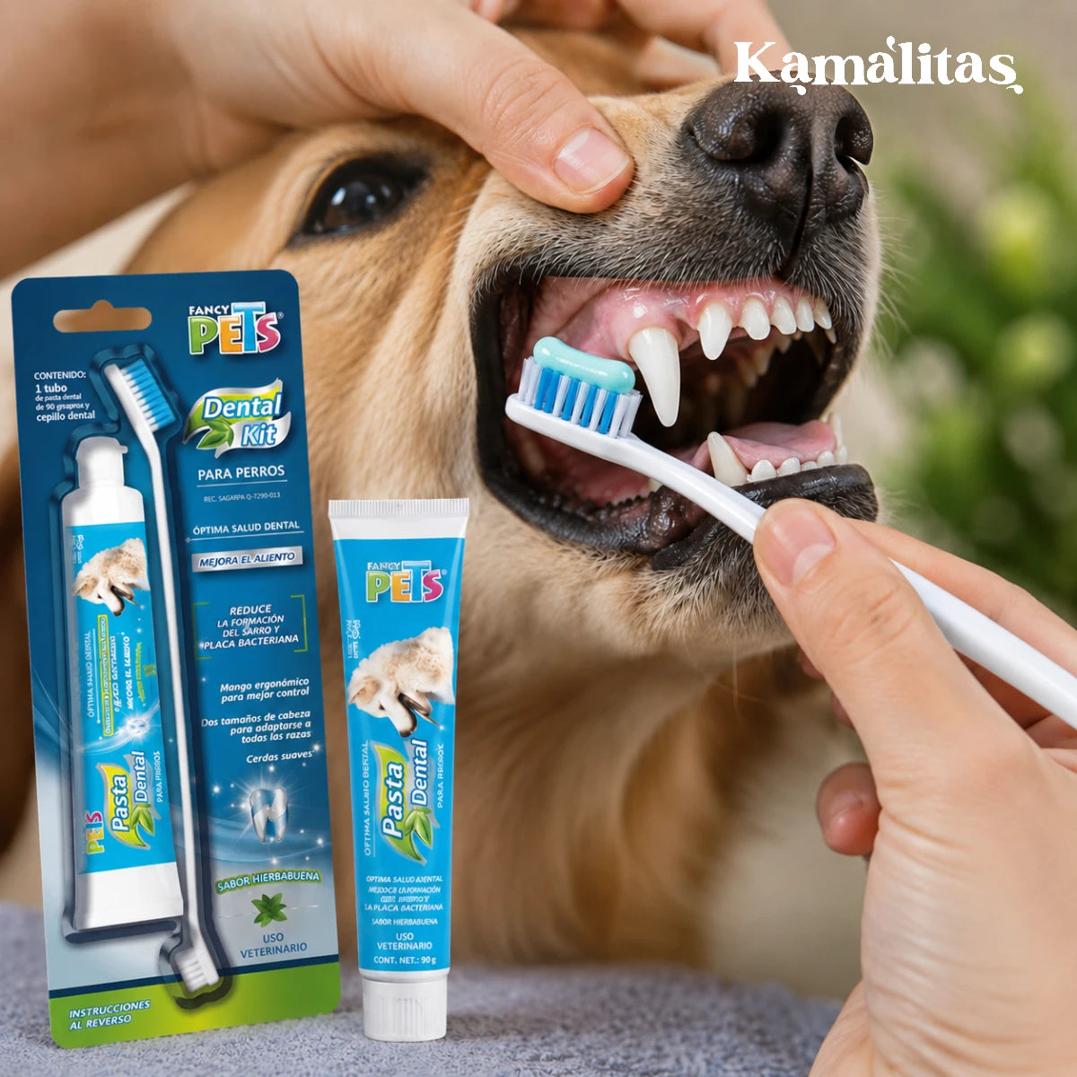 Cepillado dental de perro con Kit Dental Fancy Pets de 90 g, con pasta sabor hierbabuena y cepillo de cerdas suaves para ayudar a remover residuos de comida