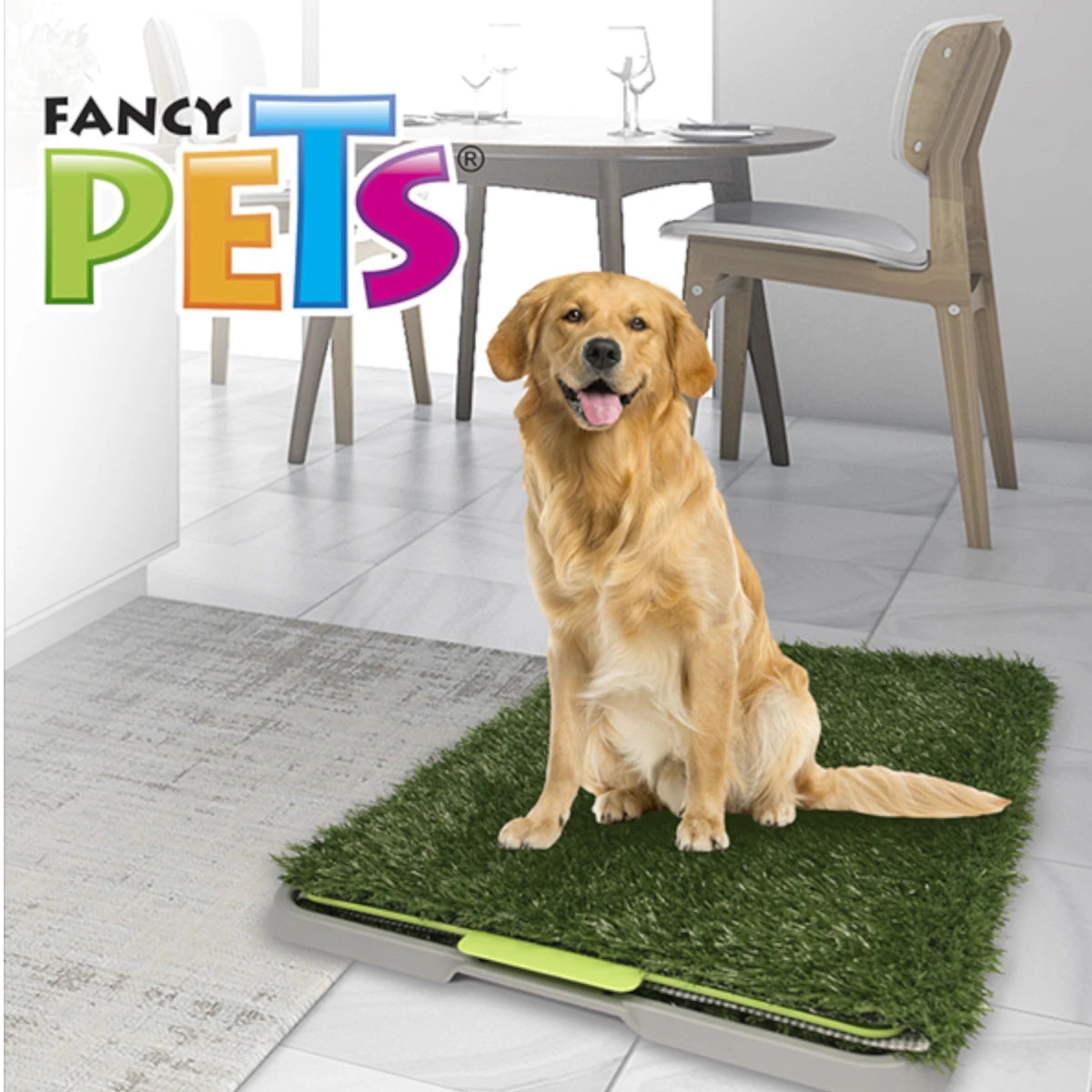 Perro golden sentado sobre tapete sanitario de pasto sintético tamaño grande.