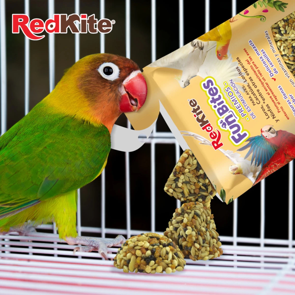 Loro interactuando con FunBites de semillas dentro de la jaula como enriquecimiento ambiental