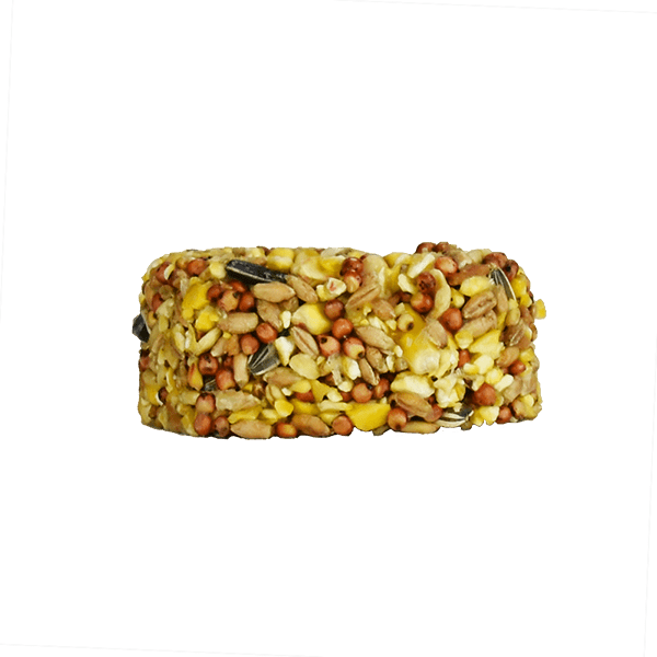 Premios para hámster