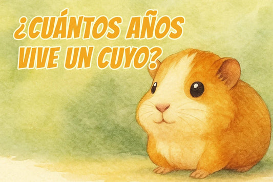 ¿Cuántos años vive un cuyo?
