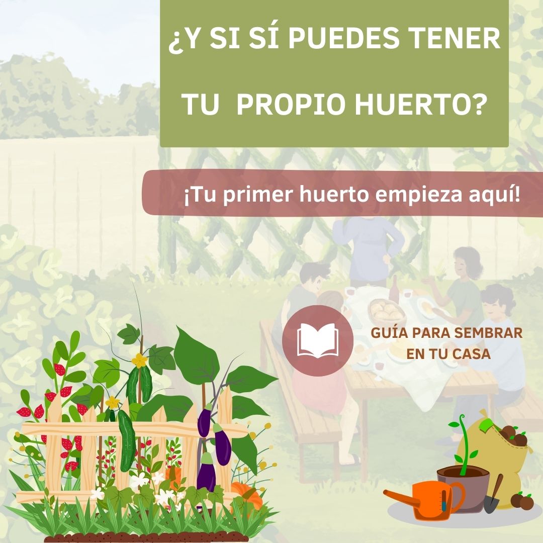 Empieza en abril tu propio huerto