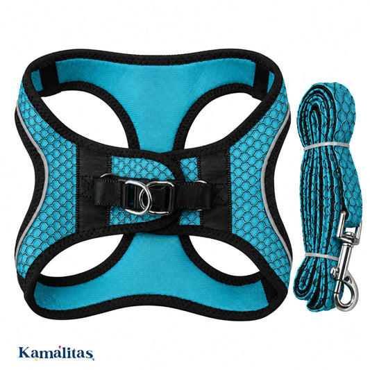 Arnés Sportie Fancy Pets azul aqua tipo chaleco con correa incluida y sistema de cierre en la espalda, sobre fondo blanco