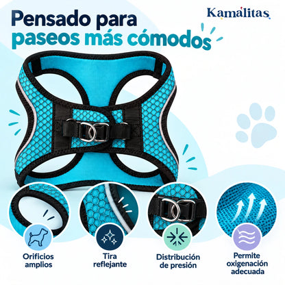 Arnés Sportie azul aqua con detalles de orificios amplios, tira reflejante, distribución de presión y ventilación del tejido.