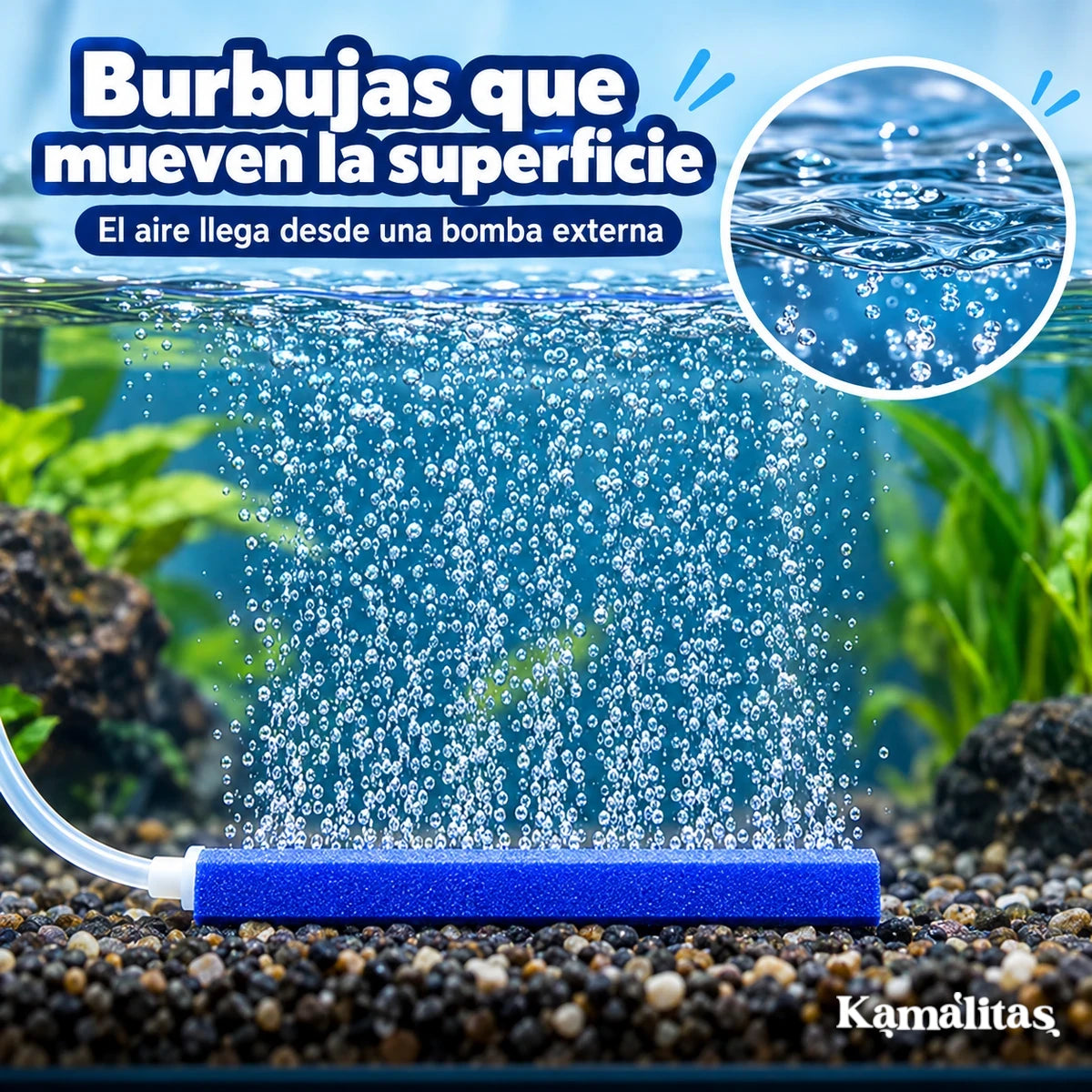 Burbujas que salen de una piedra aireadora azul dentro del acuario y llegan a la superficie del agua.