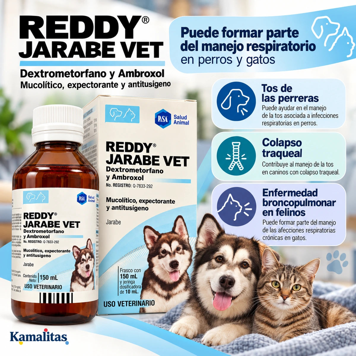 Infpgrafía de coo Reddy de laboratorio Pisa  puede ayudar con el manejo respiratorio de perros y gatos