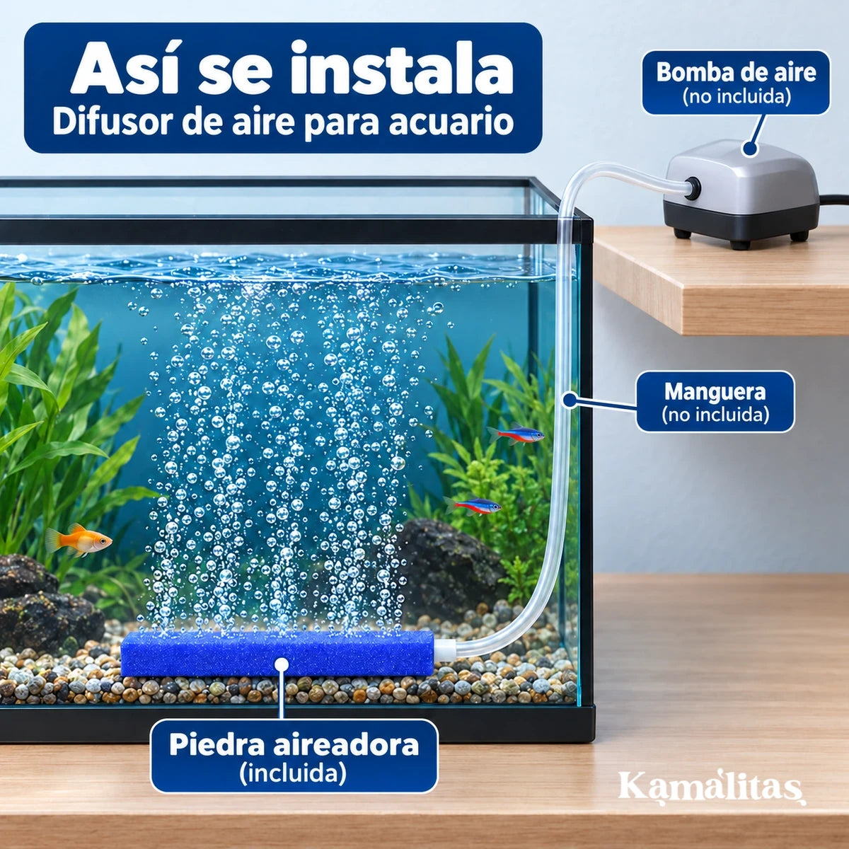 Esquema de una bomba de aire fuera del acuario conectada por manguera a una piedra aireadora dentro del agua; solo se incluye la piedra.