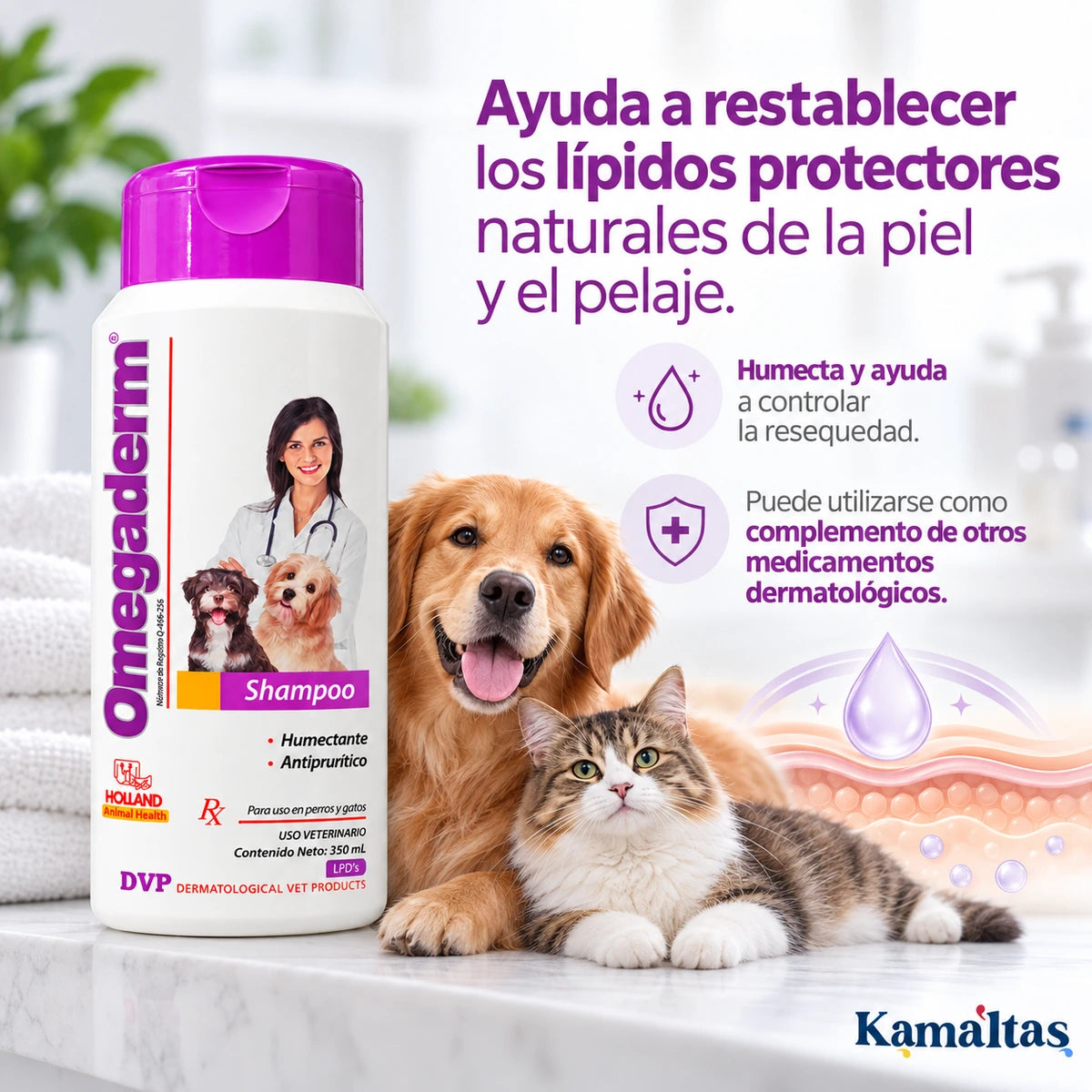 Omegaderm Shampoo ayuda a restablecer los lípidos protectores naturales de la piel y el pelaje
