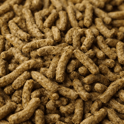 Acercamiento a los palitos de alfalfa del alimento Sunny destacando su textura ideal para la alimentación de iguanas y tortugas. Tamaño aprox de cada palito 8mm