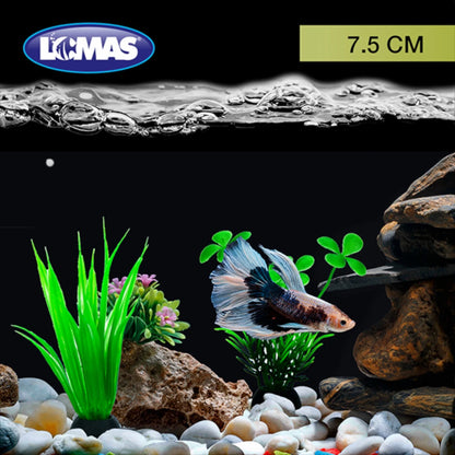 Muestra un acuario decorado con las plantas