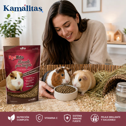 Mujer alimentando cuyos con pellets RedKite en un hábitat limpio con heno, agua fresca y alimento fortificado con vitamina C.