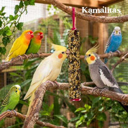 Aves ornamentales en aviario comiendo una barrita RedKite con mezcla de semillas, apta para loritos, ninfas, agapornis y periquitos australianos.