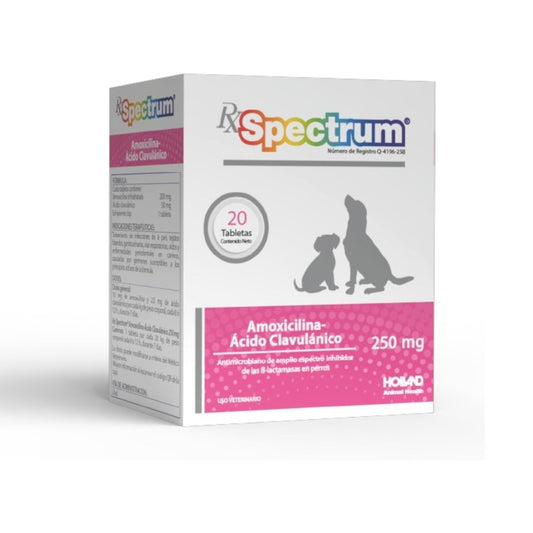 Caja de Rx Spectrum 250 mg con 20 tabletas, antibiótico de amplio espectro con amoxicilina y ácido clavulánico para tratar infecciones en perros y gatos