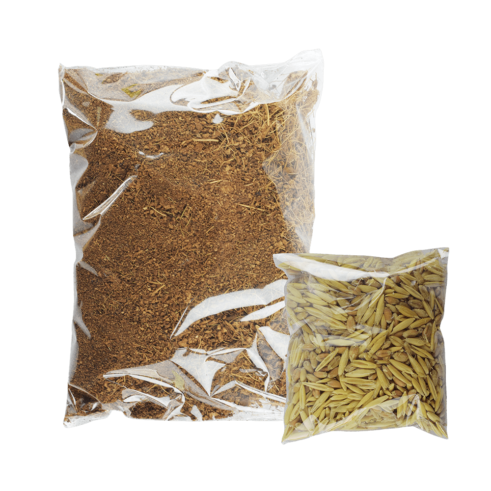 Pasto para gatos