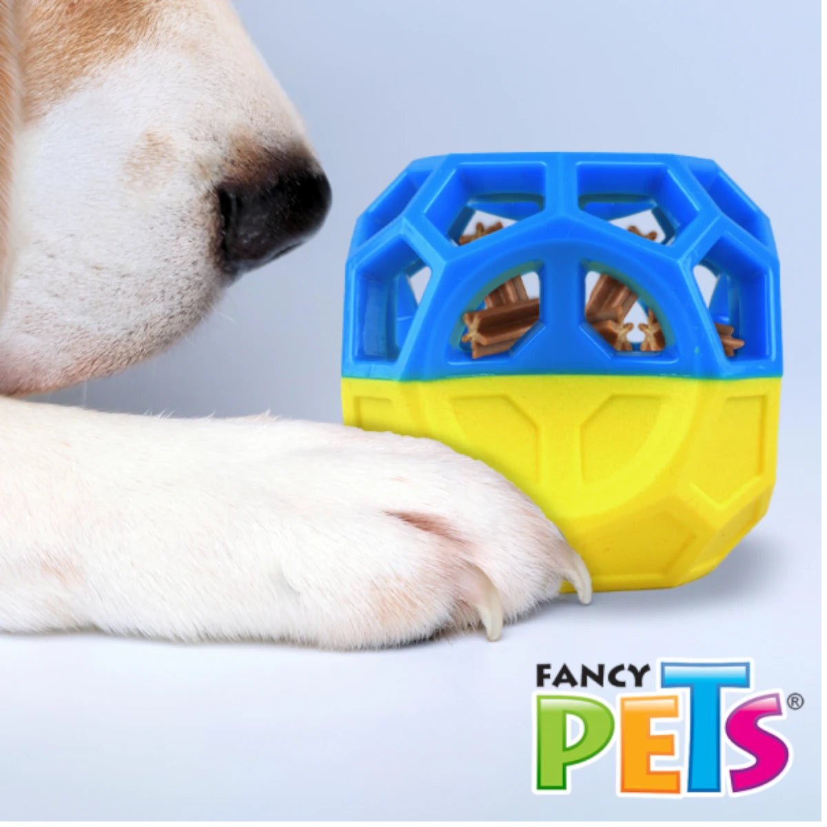 Cubo Interactivo para Premios Fancy Pets