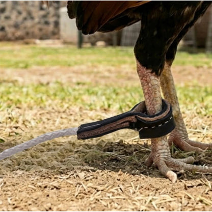 Ejemplo de uso de calzas en gallos