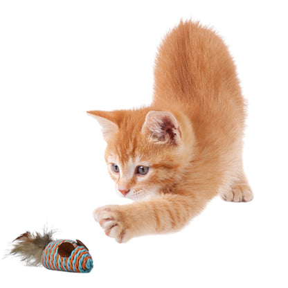 Gatito jugando con un ratón de mecate con plumas, simulando presa natural.