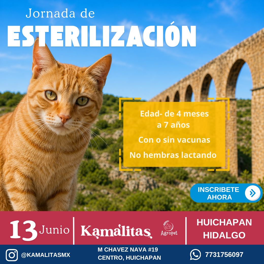 15ª Gran Jornada de Esterilización en Huichapan - 13 de Junio (Cupo Limitado)