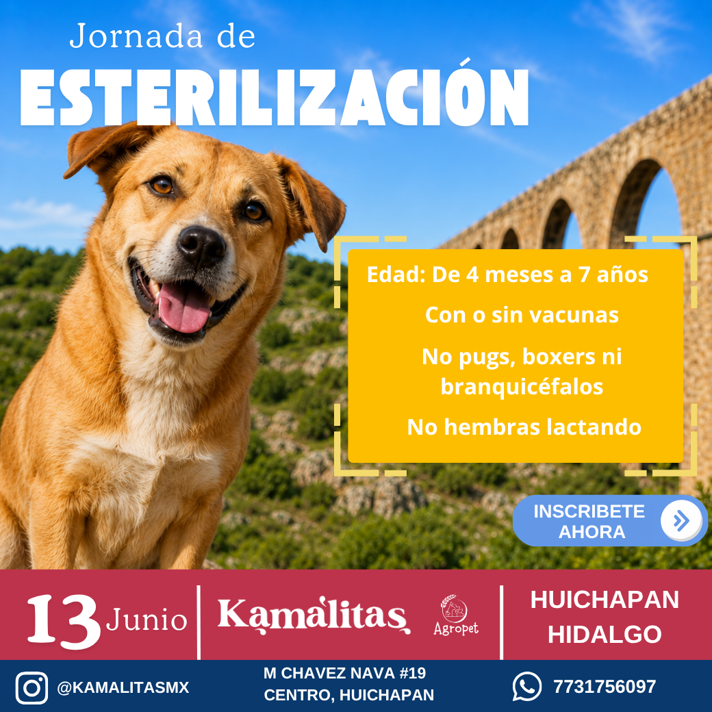 15ª Gran Jornada de Esterilización en Huichapan - 13 de Junio (Cupo Limitado)
