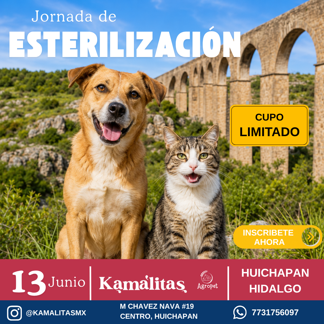 15ª Gran Jornada de Esterilización en Huichapan - 13 de Junio (Cupo Limitado)