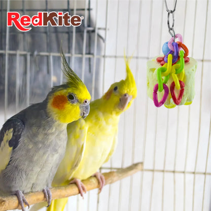 Ninfas jugando con juguete colgante con calcio RedKite dentro de su jaula, promueve diversión y desgaste natural del pico.