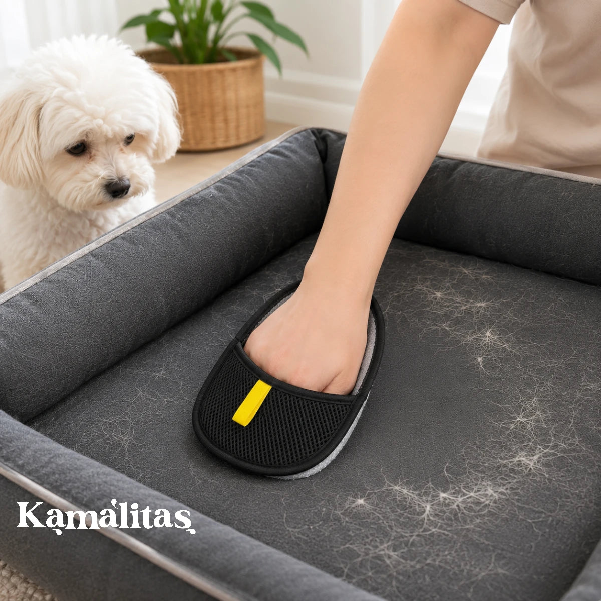 Mano deslizándose con el guante quita pelos sobre un sillón de tela beige para remover pelusas, en Kamalitas.