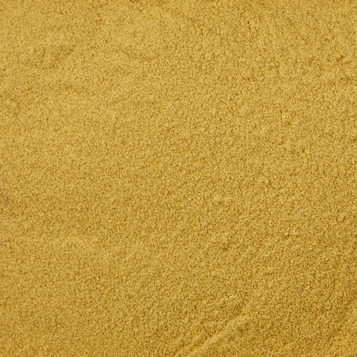 Textura cremosa de la papilla Kaytee Exact preparada ideal para la digestión de polluelos de loros y ninfas.