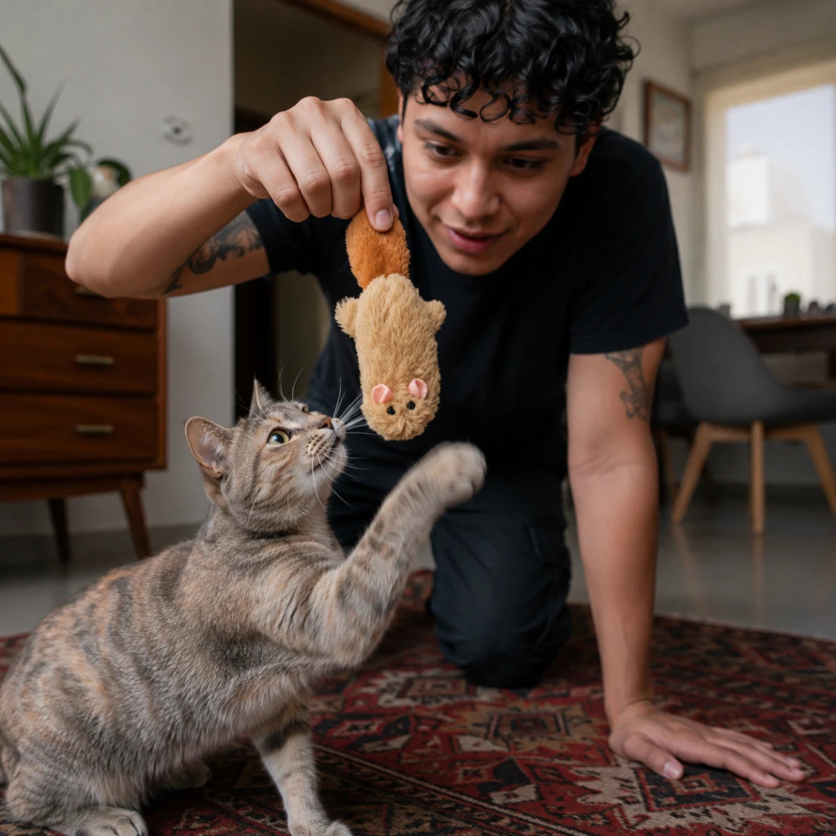 Persona jugando con un gato usando un peluche de ardilla con catnip en una casa de clase media mexicana.