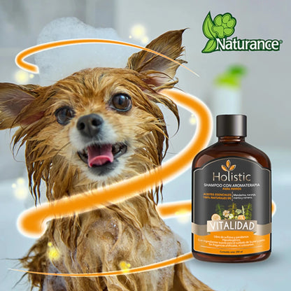 Perro pequeño mojado y sonriente durante el baño con el shampoo Holistic Vitalidad de Naturance
