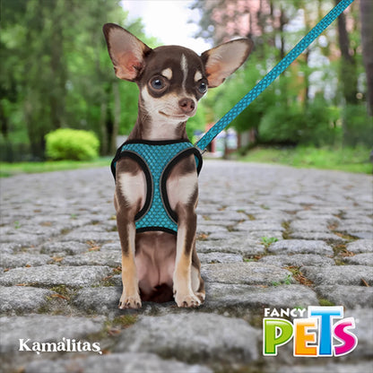 Perro pequeño usando arnes sportie de Fancy Pets
