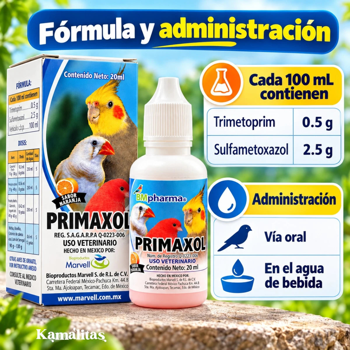 Tabla que muestra la formula y vías de administración de primaxol de Laboratorio Marvell