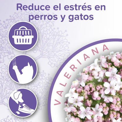 eneficios del Spray Calmante Beaphar: calma el estrés, evita mordidas, arañazos y facilita los viajes.