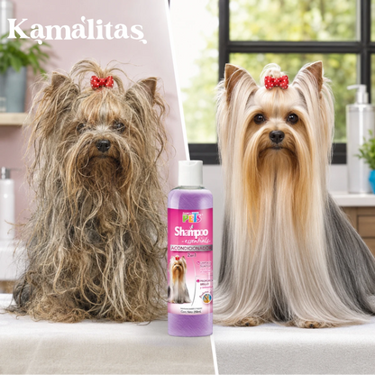 Perro de pelo largo antes y después de usar shampoo 2 en 1 Fancy Pets, mostrando pelaje limpio, suave, brillante y desenredado.