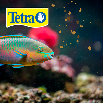 Hojuelas para peces tropicales Tetramin