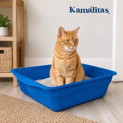 Gato usando el Arenero para Gato Fancy Pets azul, ideal para ofrecer un espacio amplio, cómodo e higiénico dentro del hogar.