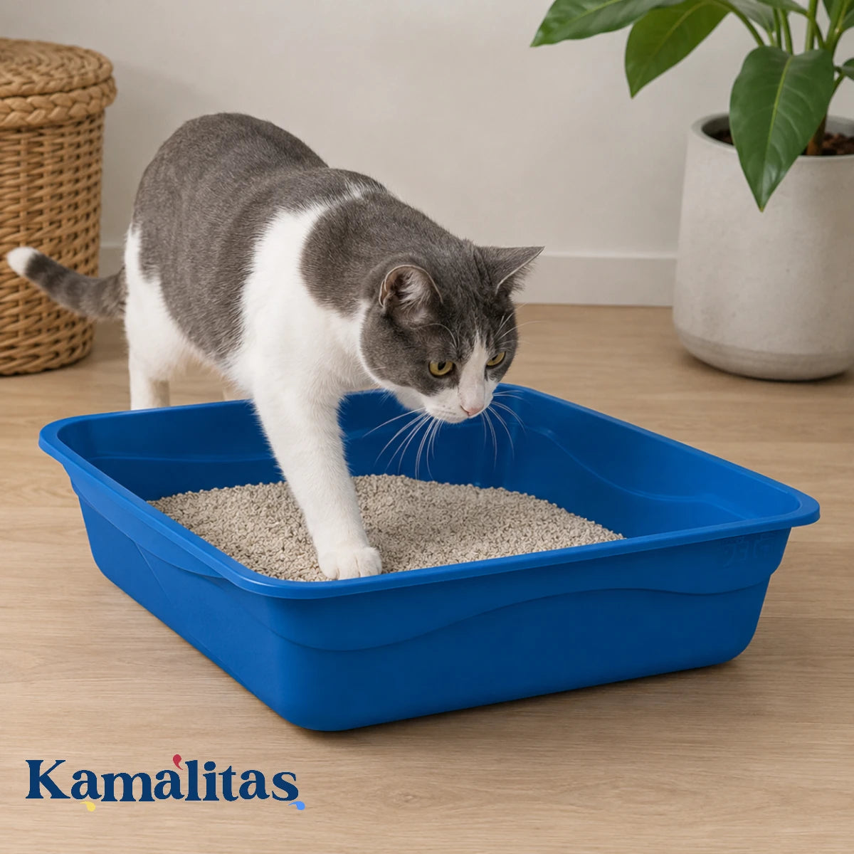 Gato entrando al Arenero para Gato Fancy Pets azul, diseñado para dar mayor libertad de movimiento y ayudar a reducir arena fuera de la bandeja.