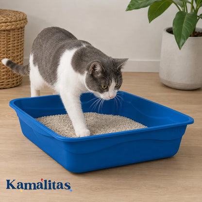 Gato entrando al Arenero para Gato Fancy Pets azul, diseñado para dar mayor libertad de movimiento y ayudar a reducir arena fuera de la bandeja.