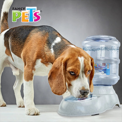 Perro bebiendo agua  fresca en bebedero de gravedad