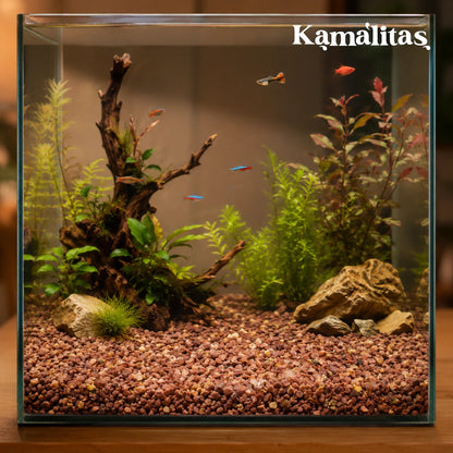 Ecosistema de acuario con peces comunitarios, troncos y sustrato de grava rosa veteado Lomas, en Kamalitas.