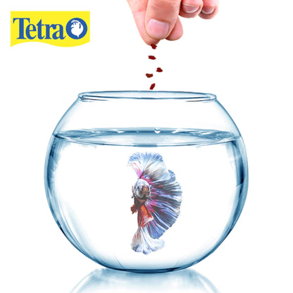 Mano alimentando a un pez Betta azul en una pecera redonda con hojuelas de BettaMin, mostrando la aceptación inmediata del alimento.