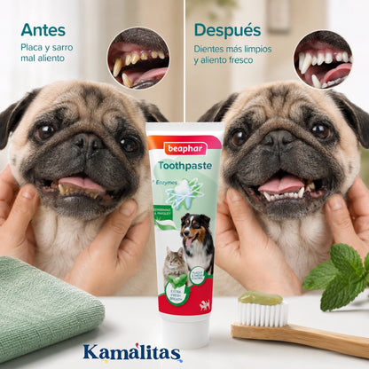 Comparativa de antes y después en los dientes de un perro pug mostrando la eliminación de placa y sarro gracias a la pasta Beaphar.