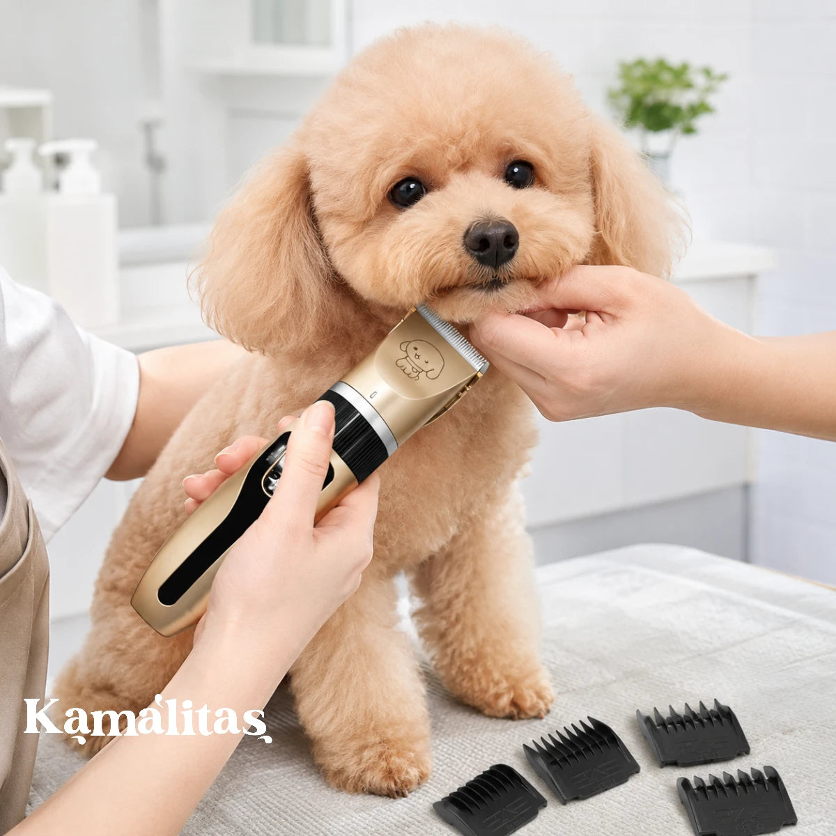 Antes y después de perro usando máquina corta pelo para mascotas, mostrando el cambio de pelaje largo a corte limpio y parejo, disponible en Kamalitas.