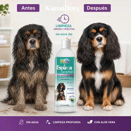 Comparación antes y después de usar espuma para baño en seco Fancy Pets en perro, mostrando pelaje más limpio, fresco y con mejor apariencia sin usar agua