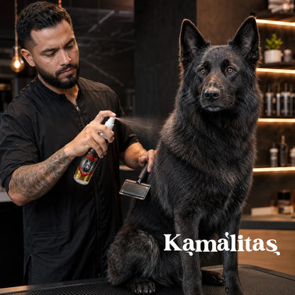 Un estilista aplicando la colonia en spray Wild sobre el pelaje de un perro Pastor Alemán negro durante un servicio de grooming profesional, en Kamalitas.